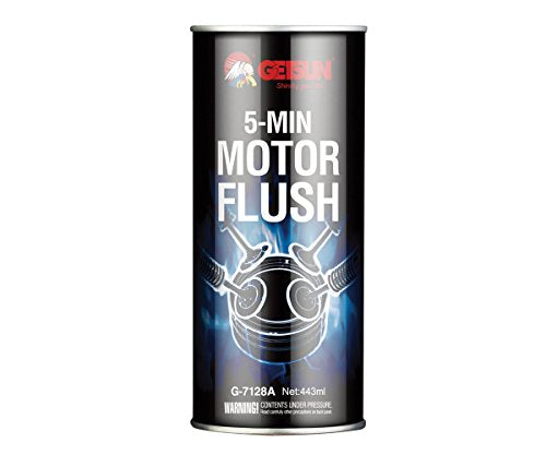 G-SUN Motor Flush Cleaner – Home & Kitchen