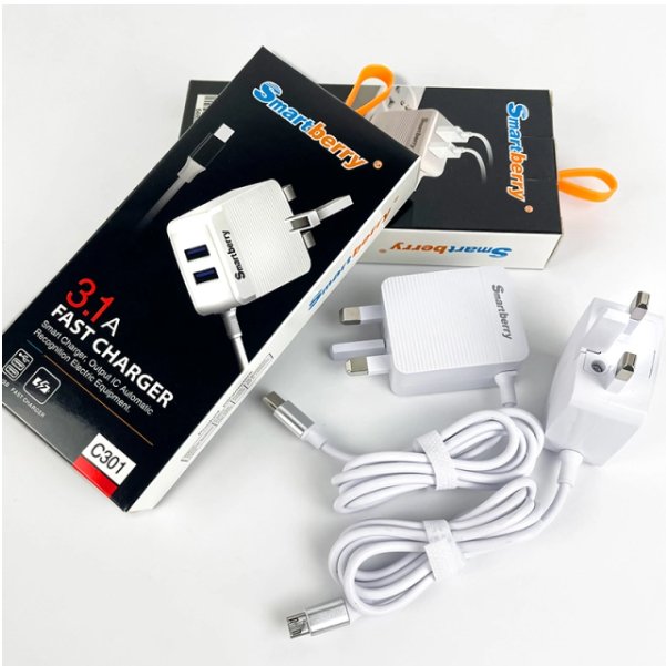 3-in-1 Charging Adapter – Power Charging