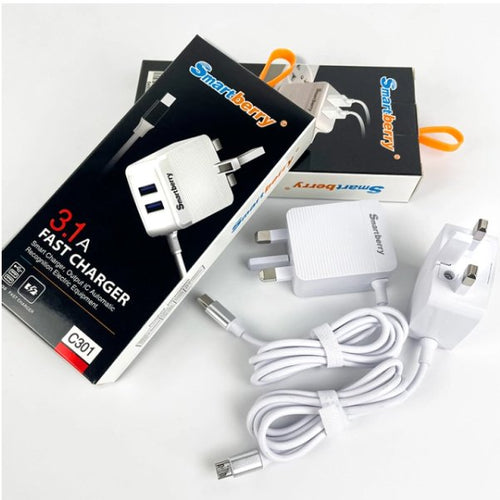 3-in-1 Charging Adapter – Power Charging