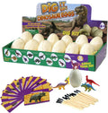 Dinosaur Egg Dig Kit