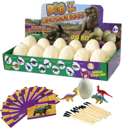 Dinosaur Egg Dig Kit