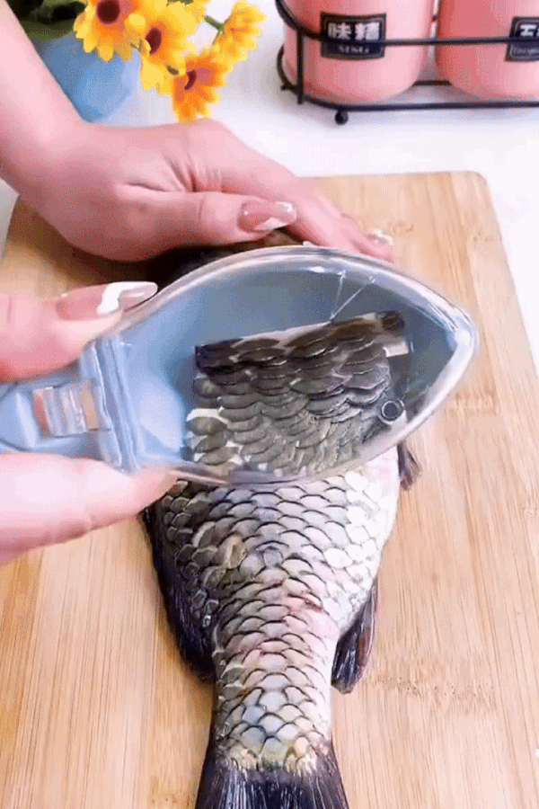 Fishing Scale Brush – Home & Kitchen
