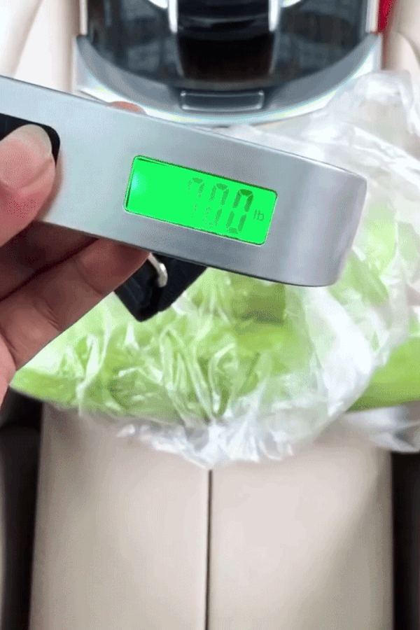 Electronic Luggage Scale – Car Accessories