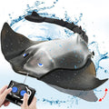RC Swimming Devil Ray