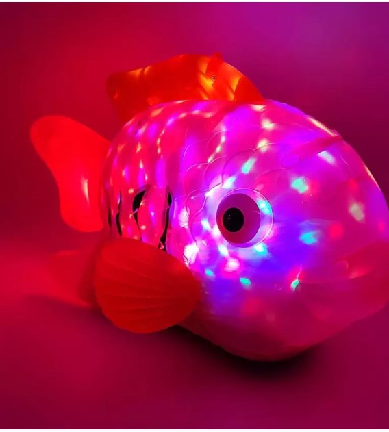 Clown Fish – Home & Kitchen