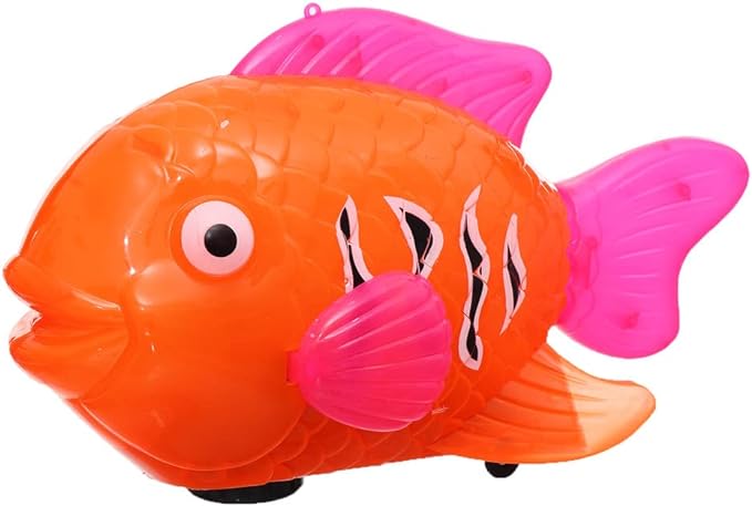 Clown Fish – Home & Kitchen