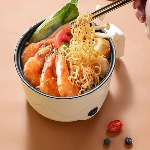 Electric Mini Cooking Pot with Lid – Home & Kitchen
