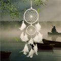 Home Decorations Wedding Decoration Feathers
