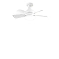 Torima Ceiling Fan Light