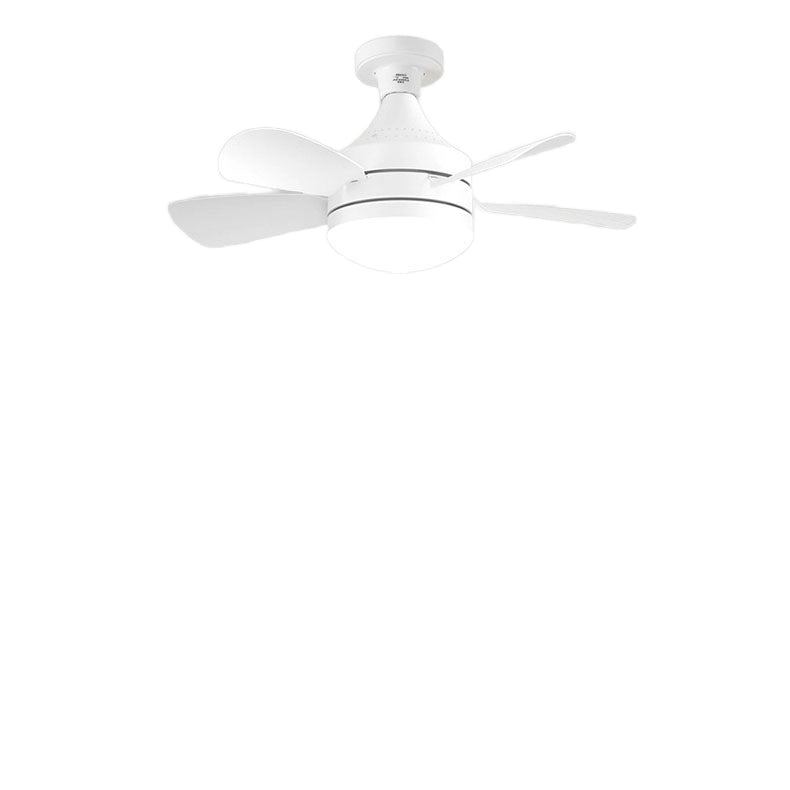 Torima Ceiling Fan Light