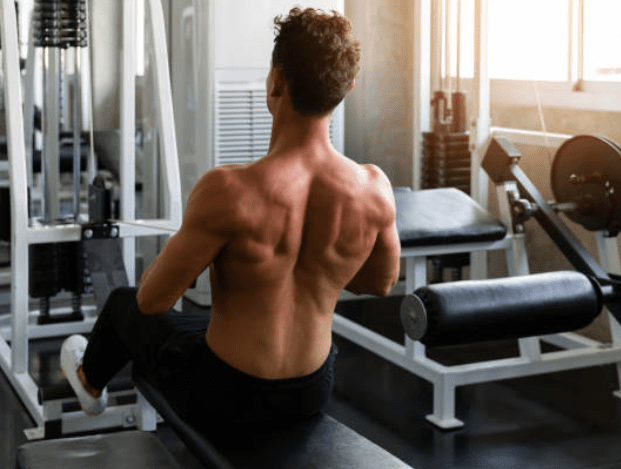 MAX Titanium - L-G Glutamina – Supplements Nutrition