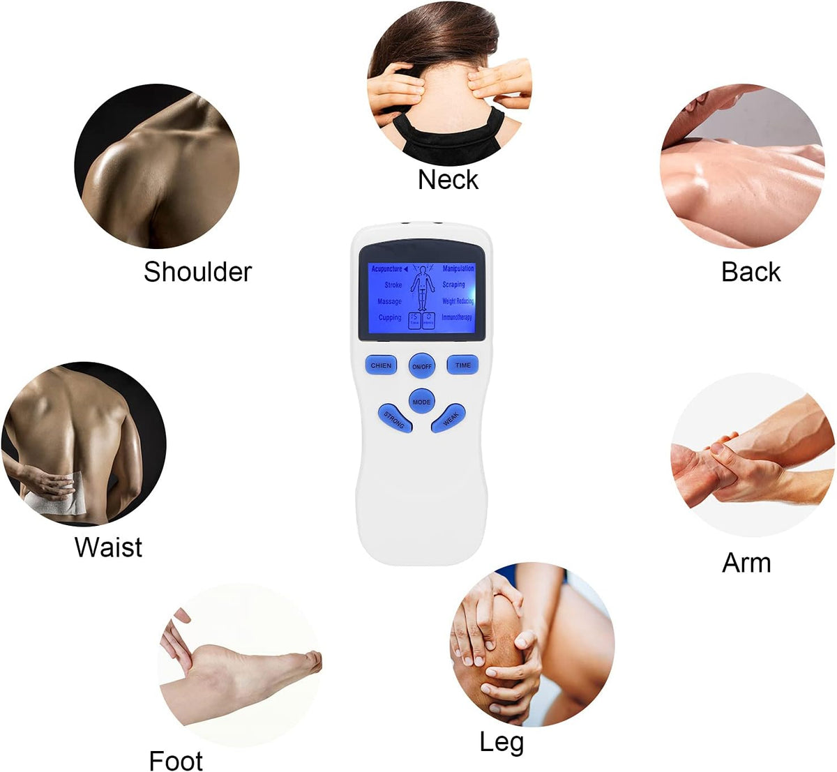 Multifunctional Electric Muscle Stimulator – Health & Fitness