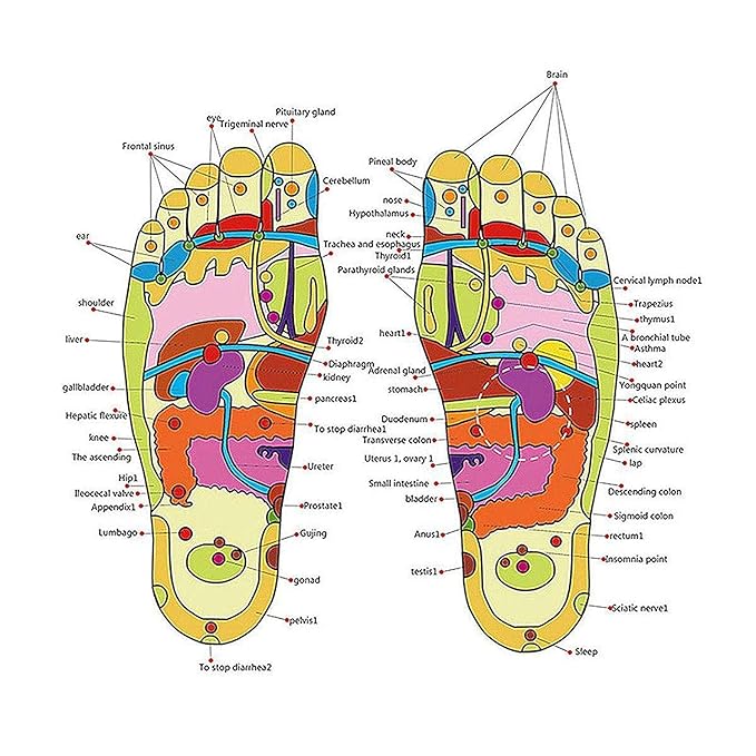 Natural Foot Slippers Massager – Massage Recovery