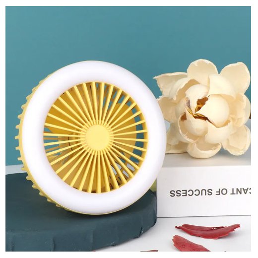 Rechargeable Electric Fan – Fans Cooling