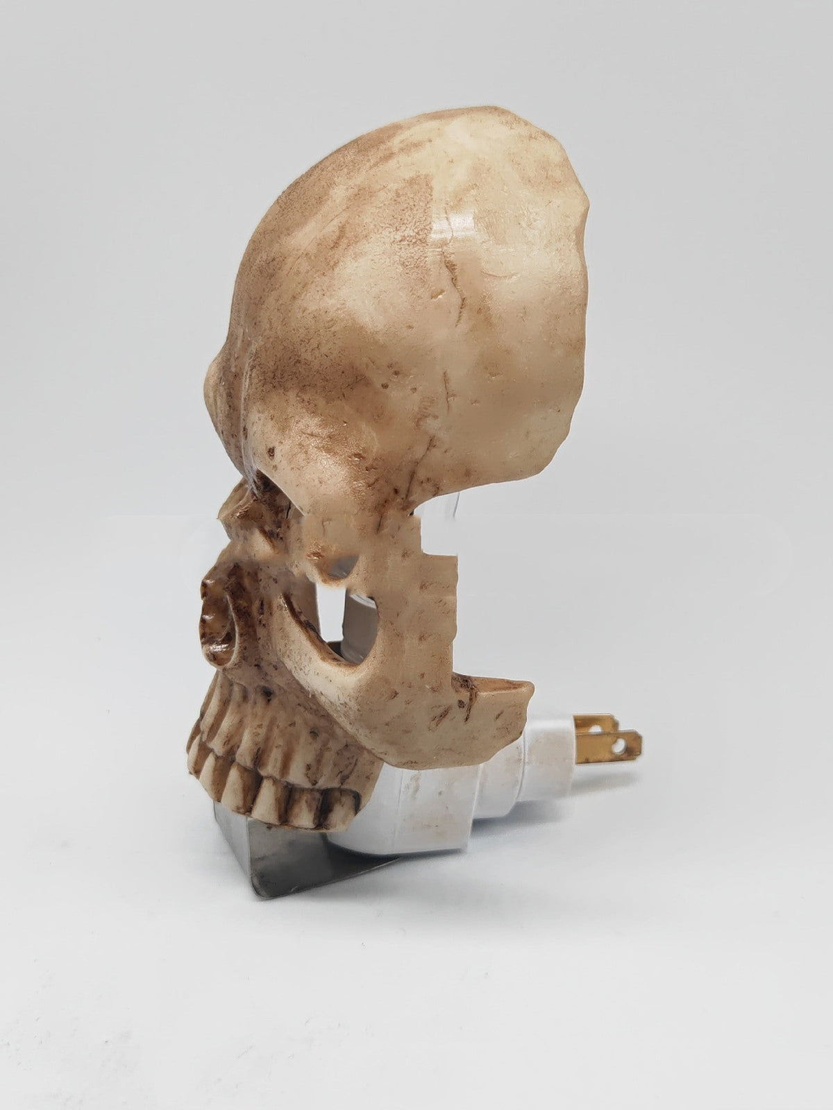 Skull Decorative Night Light Funny Ideas – Lighting Torches