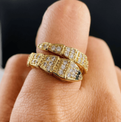 Snake Ring – Jewelry Watches
