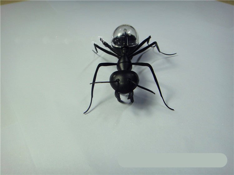 Solar Ant Baby Electronic Pet Toy – Pretend Play Toys