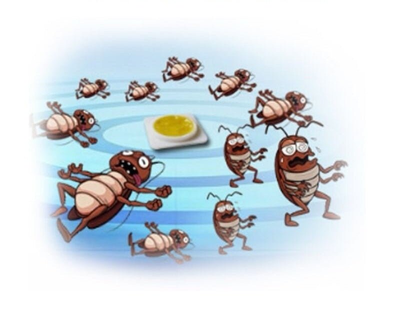 Cockroach Killer Bait Pods – Cleaning Tools