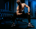 Ultimate Nutrition 100% Micronized Creatine Monohydrate